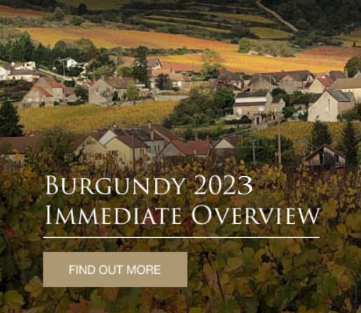 Burgundy 2023 En Primeur